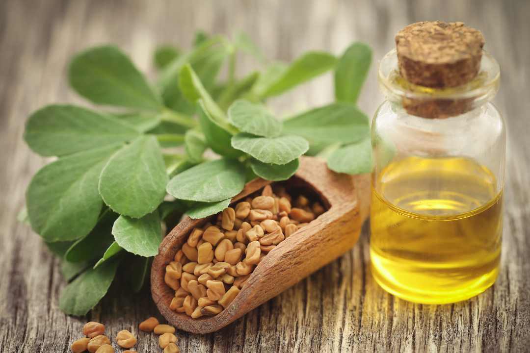 fenugreek image with oil and leaf